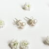 Pearl stud earrings 